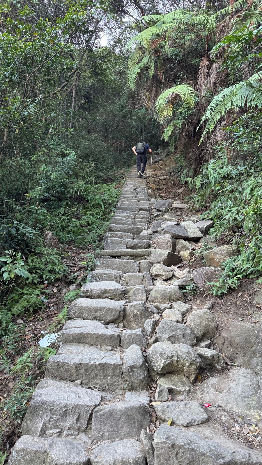 一阶一阶往上走