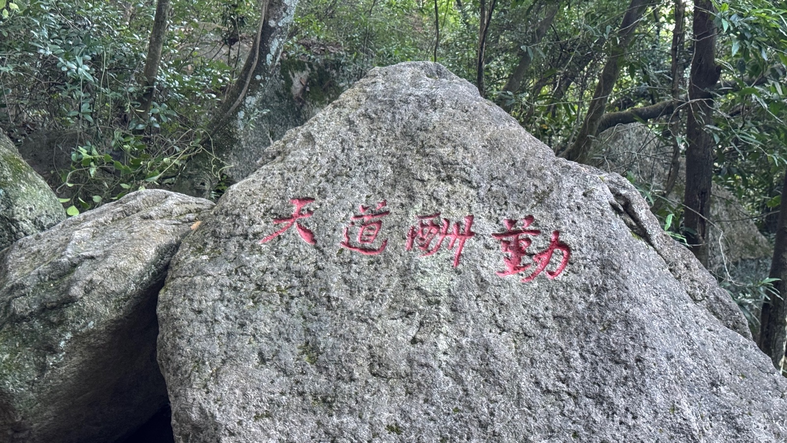 天道酬勤