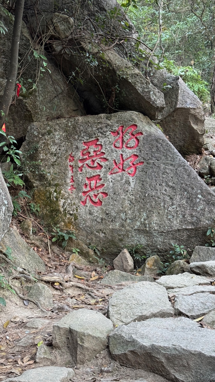 好恶