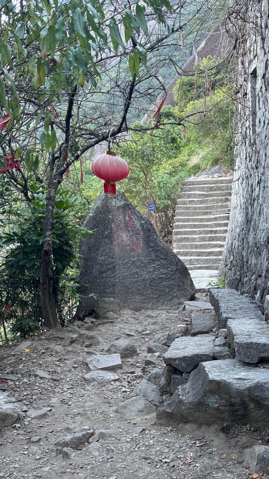 一盏红灯笼,挂在山路上